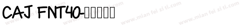 CAJ FNT40字体转换